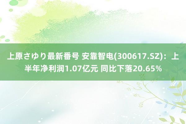 上原さゆり最新番号 安靠智电(300617.SZ)：上半年净利润1.07亿元 同比下落20.65%