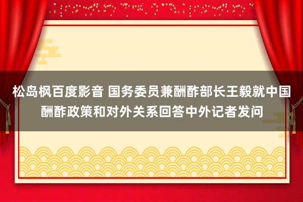 松岛枫百度影音 国务委员兼酬酢部长王毅就中国酬酢政策和对外关系回答中外记者发问