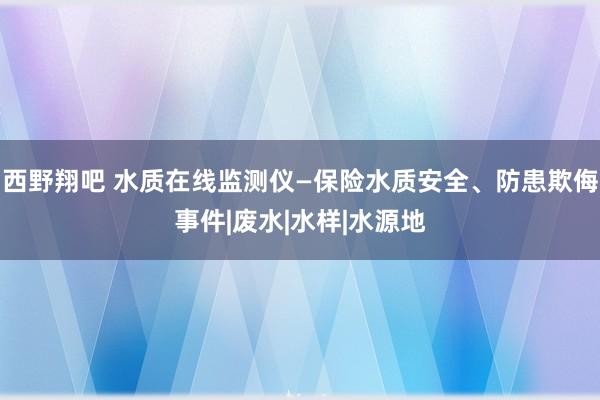 西野翔吧 水质在线监测仪—保险水质安全、防患欺侮事件|废水|水样|水源地